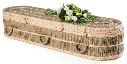 pandanus roundcoffin